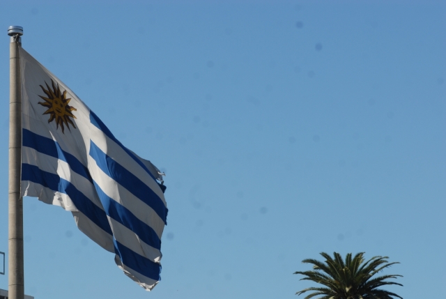 bandera uruguaya.jpg